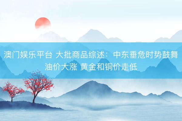 澳门娱乐平台 大批商品综述：中东垂危时势鼓舞油价大涨 黄金和铜价走低
